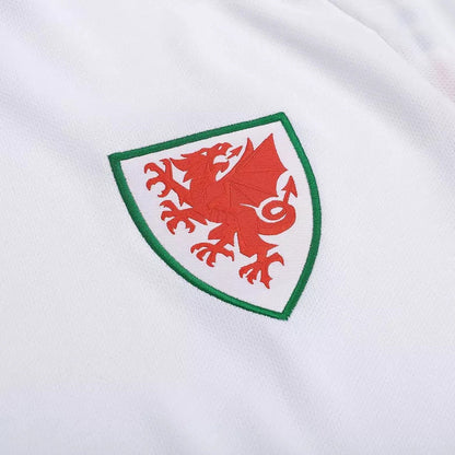 Wales Away Jersey Shirt World Cup 2022